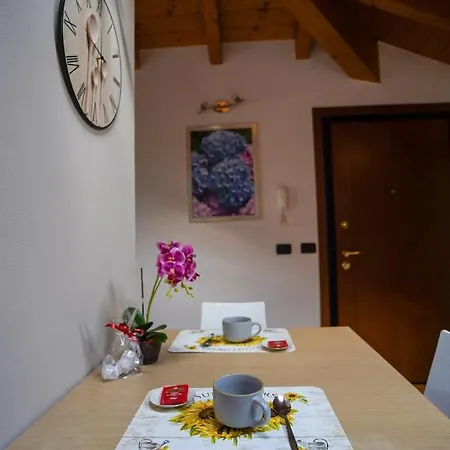 Ortensia - Radice Comfort - Leonardo, Mxp&laghi Sesto Calende