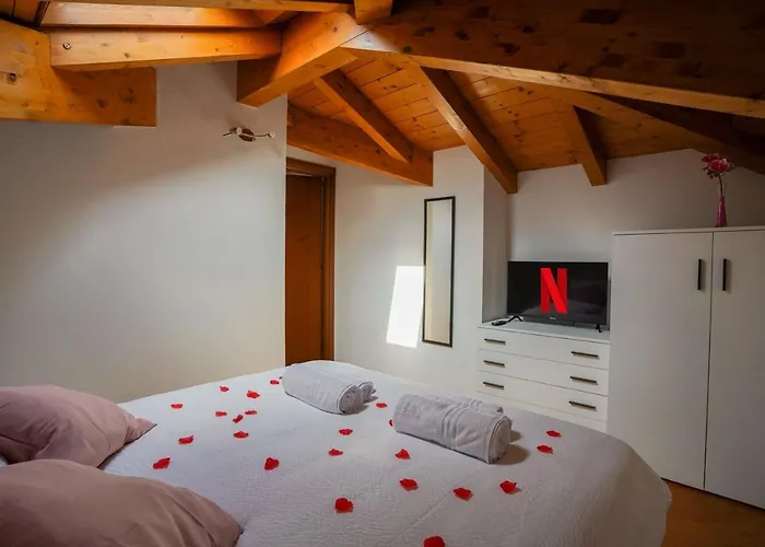 Ortensia - Radice Comfort - Leonardo, Mxp & Laghi